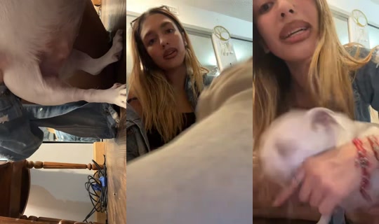 maybe_elianna's Stream - Aug 5, 2026, 12:06 AM