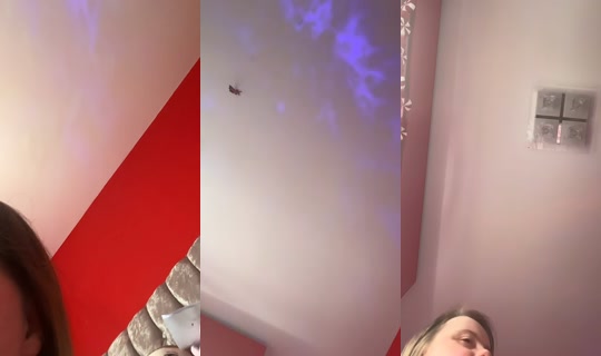 mccullochhazel's Stream - Jul 29, 2026, 5:46 PM