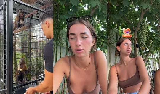 meli_jane_'s Stream - Aug 2, 2026, 10:35 AM