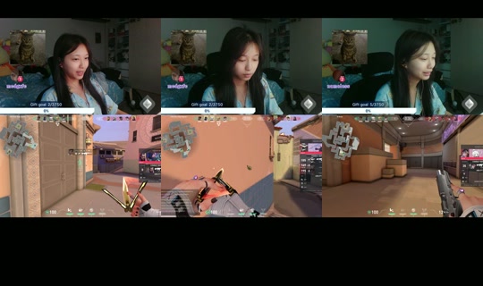 Live de melsokool - 1 de ago. de 2026, 4:38