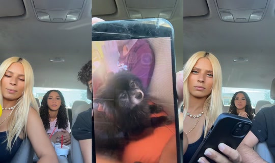 miahanlon3's Stream - Jul 21, 2026, 8:34 PM
