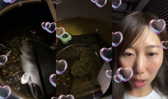 miamiaicecream's Stream - Aug 9, 2026, 10:20 AM