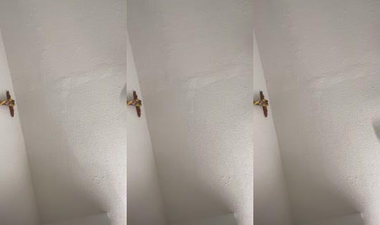 michel.vj's Stream - Jul 23, 2026, 9:19 PM