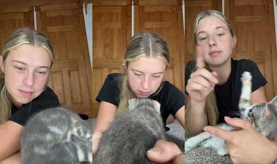 Stream von mikaylafanger – 27. Juli 2026, 11:52