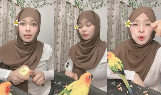 mimi231146's Stream - Jul 24, 2026, 5:35 PM