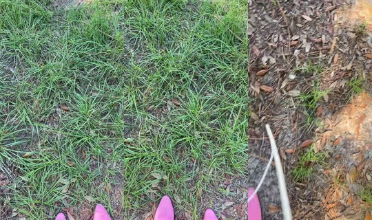 ไลฟ์ของ miminica00 - 10 ส.ค. 2569 14:04