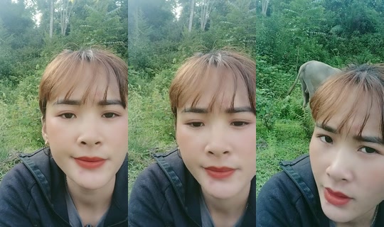minzi030198's Stream - Jul 31, 2026, 10:23 AM