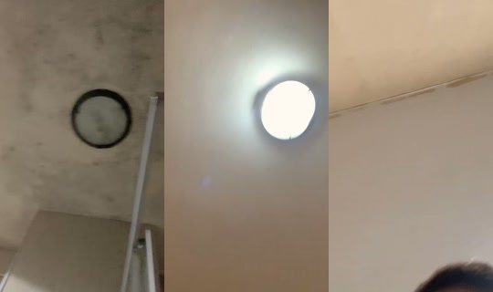 missbee114's Stream - Sep 19, 2026, 6:36 PM