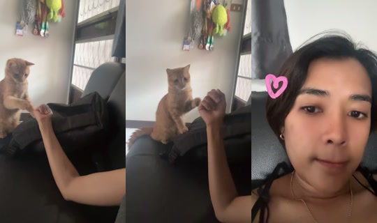 misswadee's Stream - Jul 15, 2026, 1:42 AM