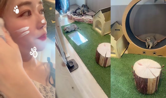 miteinomirai's Stream - Aug 8, 2026, 7:06 AM