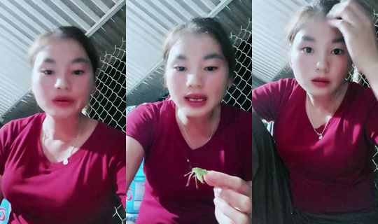 Stream ni monly6876 - Ago 8, 2026, 1:38 PM