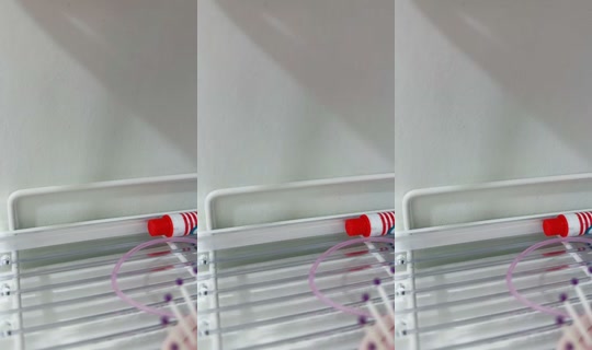 mop3151119's Stream - Oct 15, 2026, 1:54 PM