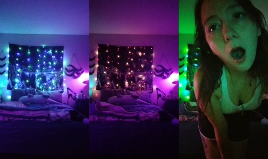 morbidbunnyproductions's Stream - Aug 9, 2026, 8:57 AM