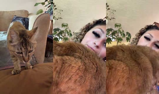 Stream morgan.ec - 25 Jul 2026, 21.08