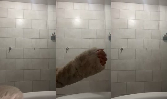 morinagawula's Stream - Aug 31, 2026, 7:21 AM