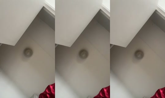 morinagawula's Stream - Sep 21, 2026, 11:56 AM