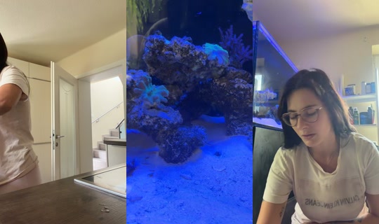 mrs.elly.xxjs's Stream - Aug 11, 2026, 8:51 AM