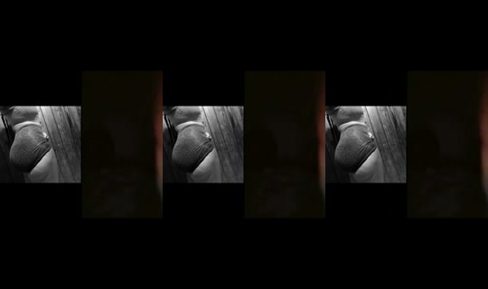 mrs2fiveone's Stream - Aug 7, 2026, 10:52 AM