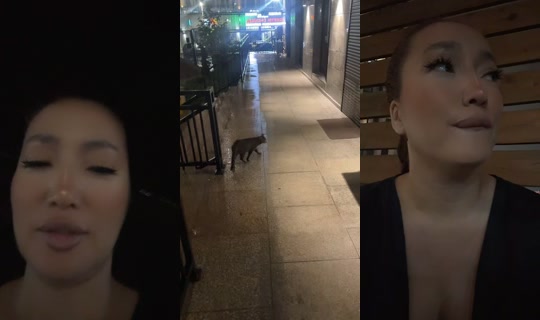 ms.gaga2's Stream - Jul 21, 2026, 4:20 PM