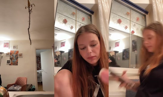 ms.shark.hellcat's Stream - Aug 2, 2026, 10:26 PM