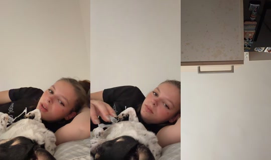 ms.shark.hellcat's Stream - Aug 4, 2026, 5:19 AM