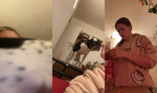 ms.shark.hellcat's Stream - Oct 7, 2026, 9:11 PM