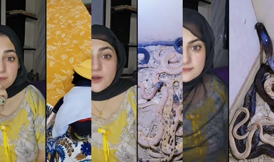 muqadasbutt456's Stream - Jul 24, 2026, 7:51 AM