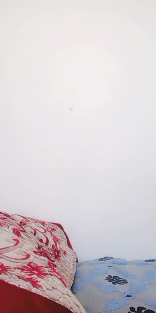 nadia.nadia2758