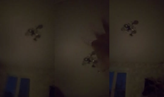 nadseisn's Stream - Aug 8, 2026, 11:47 PM
