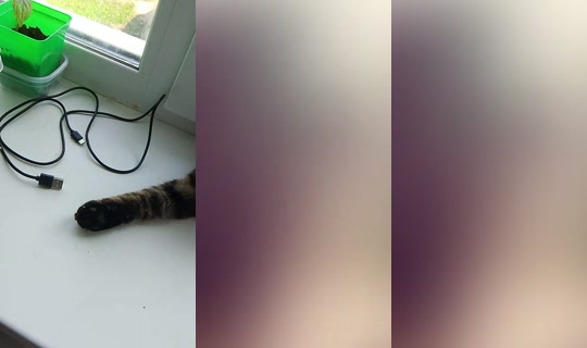 nadseisn's Stream - Aug 9, 2026, 6:21 AM