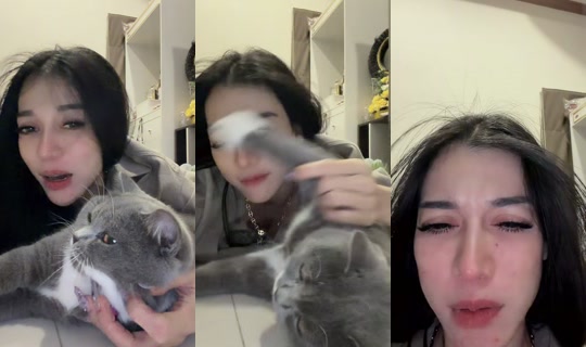 natty800cc's Stream - Aug 8, 2026, 11:37 AM