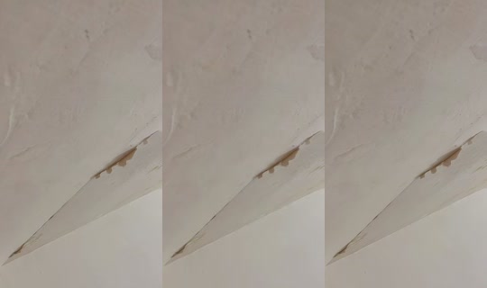 neeeyyyaaaa_'s Stream - Aug 9, 2026, 2:42 PM