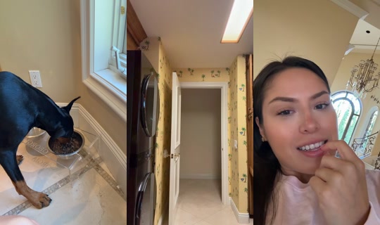 neligallardo's Stream - Aug 5, 2026, 12:53 AM