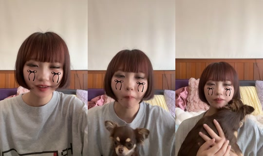 nenecoco219's Stream - Jul 24, 2026, 11:53 PM