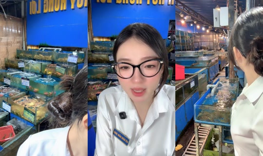 nhahanghaisanhuyhungloi's Stream - Jul 24, 2026, 12:04 PM