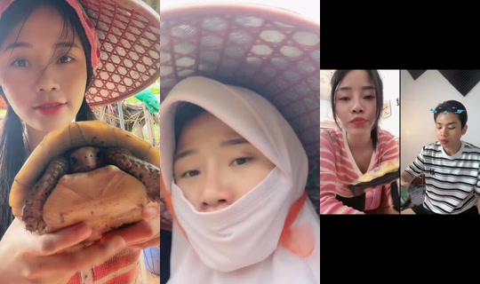 nhuylee.2000's Stream - Aug 31, 2026, 3:09 AM