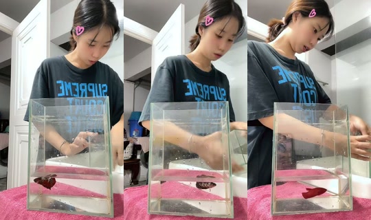 ninicha214's Stream - Sep 30, 2026, 9:55 AM