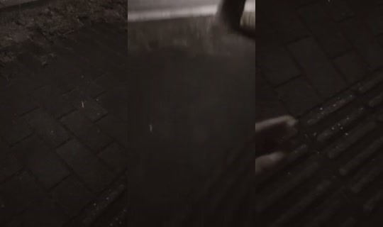 nlozy0's Stream - Aug 9, 2026, 3:08 PM