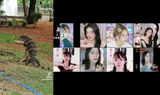 nntkdpss's Stream - Aug 22, 2026, 2:06 AM