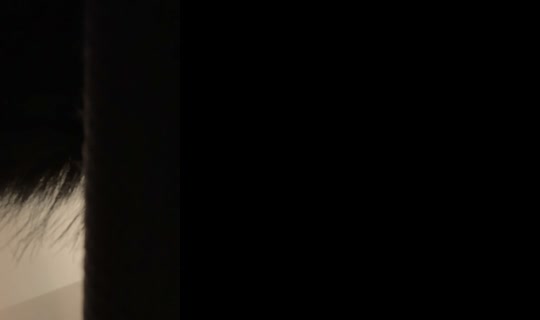 nod10_'s Stream - Oct 7, 2026, 8:01 AM