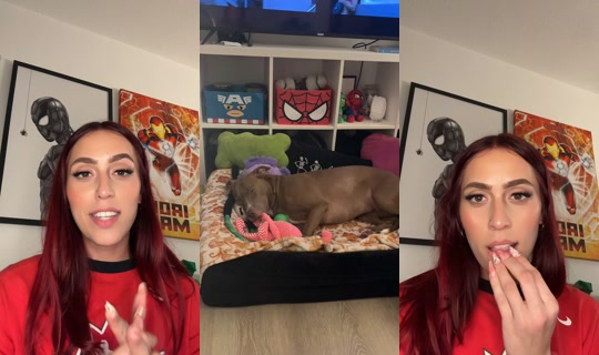 novaxskyee's Stream - Jul 26, 2026, 9:36 AM