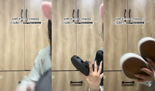 numpetttt's Stream - Oct 14, 2026, 11:50 PM