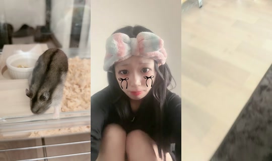 nvxxs.01's Stream - Jul 16, 2026, 7:28 AM