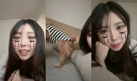 nyan.san2 的直播 - 2026年8月19日 9:04