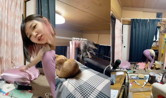 nyanchanuniverse's Stream - Jul 8, 2026, 11:09 AM