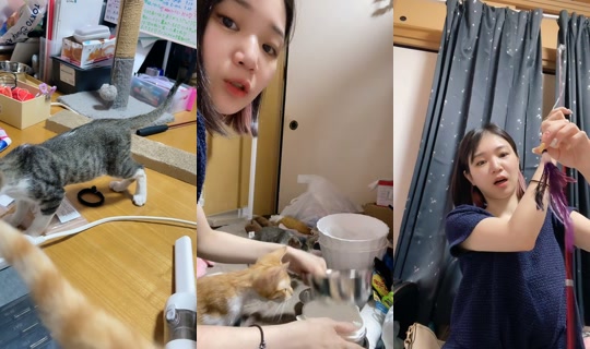 nyanchanuniverse's Stream - Jul 9, 2026, 10:54 AM