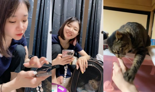 nyanchanuniverse's Stream - Jul 9, 2026, 11:45 AM
