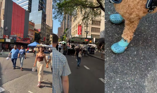 nycthrasher's Stream - Jul 25, 2026, 9:13 PM