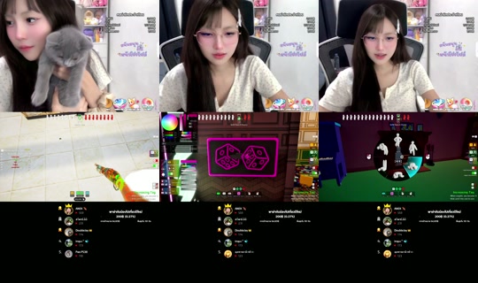 o4_newpn's Stream - Jul 29, 2026, 5:37 AM