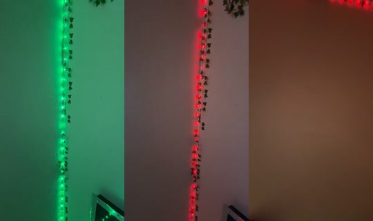 ohbuni4's Stream - Aug 9, 2026, 6:59 AM